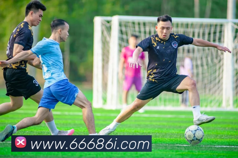 6686APP 封面图